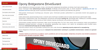 Bridgestone DriveGuard